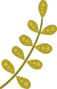 Leaves     _edited.png
